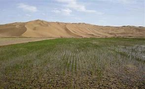 keppondrilling's tweet photo. #ClimateCrisis #oilandgas With the levels of CO2 increasing over the past 30 years we are also seeing vegetation increasing by almost 30%. Foliage growth in deserts is up 11% making these waste lands a potential area to grow food. Plants grow better in increased levels of CO2. https://t.co/5SZkdyOD6P
