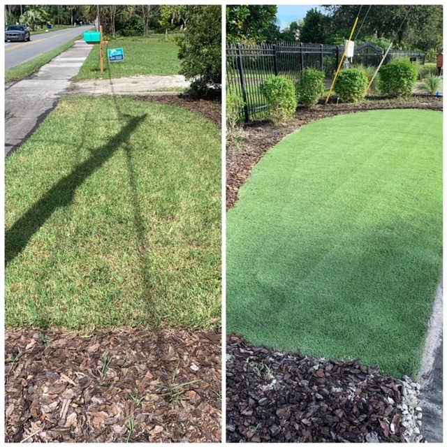 FCBofFlorida's tweet image. Let @FCBofFlorida make your yard look this beautiful! #WeDoYards