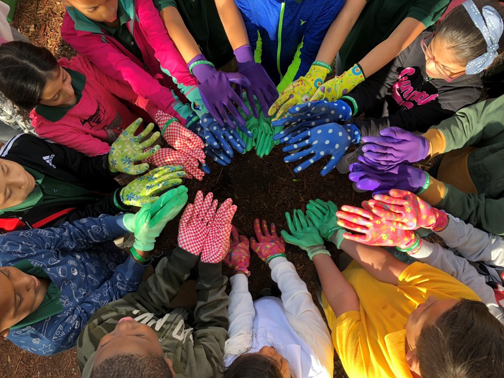 <a href="/ericharr/">Eric Michael Harr</a> <a href="/AmericanForests/">American Forests</a> Thank you so much! The gift that keeps on giving is the opportunity to partner with amazing, caring people like you, <a href="/vivienneharr/">Vivie 💕</a> and Don Mullan to work toward a better 🌍.