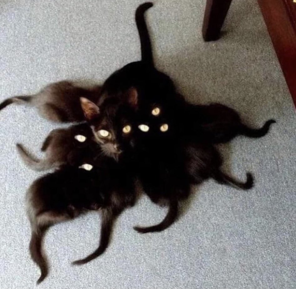 probablyalissa's tweet image. B E  N O T  A F R A I D