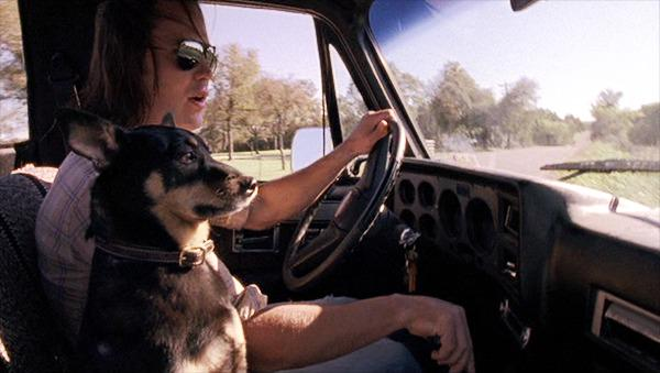 TimRiggins's tweet image. Skeeter....