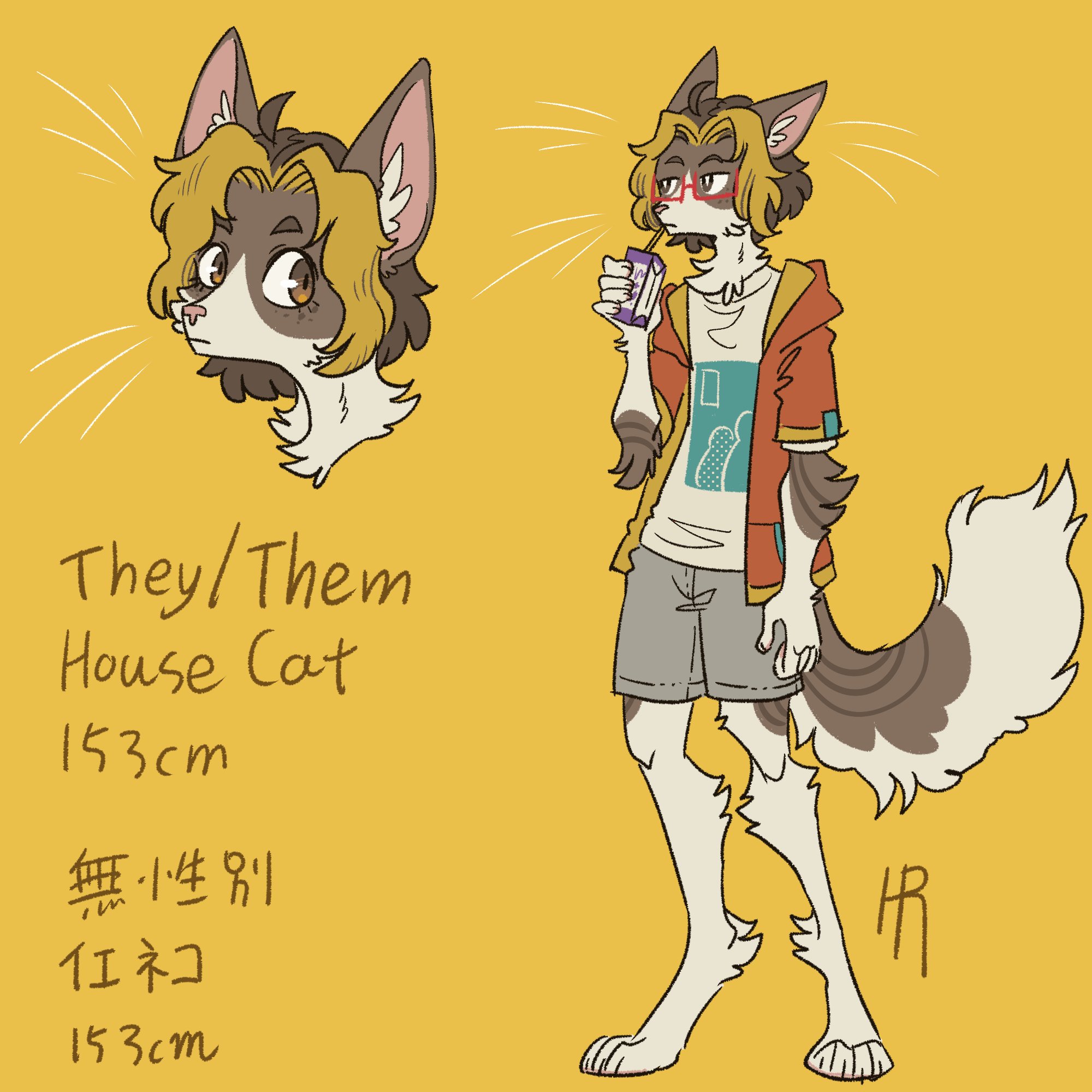 hr.🌺 on X: True sona?? もっと自分らしいケモキャラ(多分) t.coHUIKnFsJxz  X