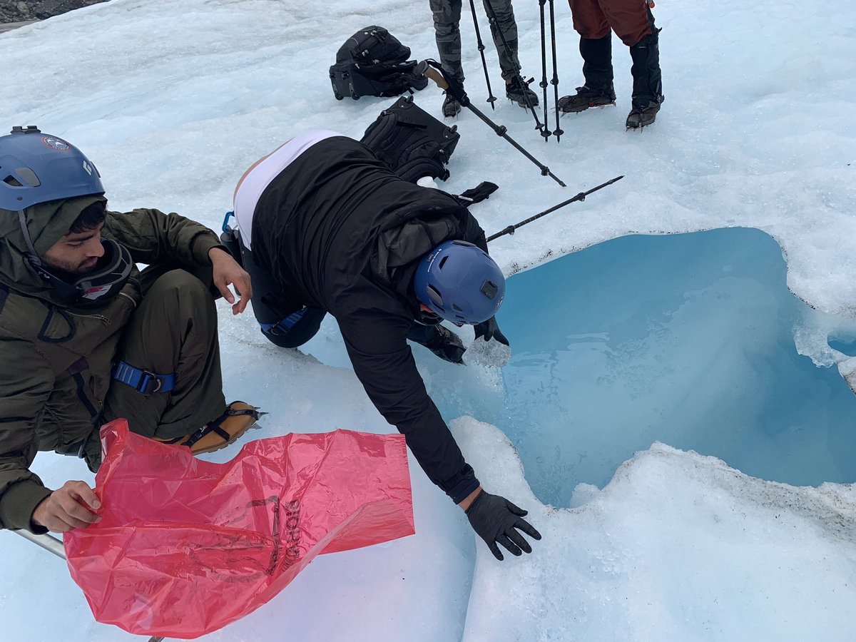 Navid Saleh tweet media