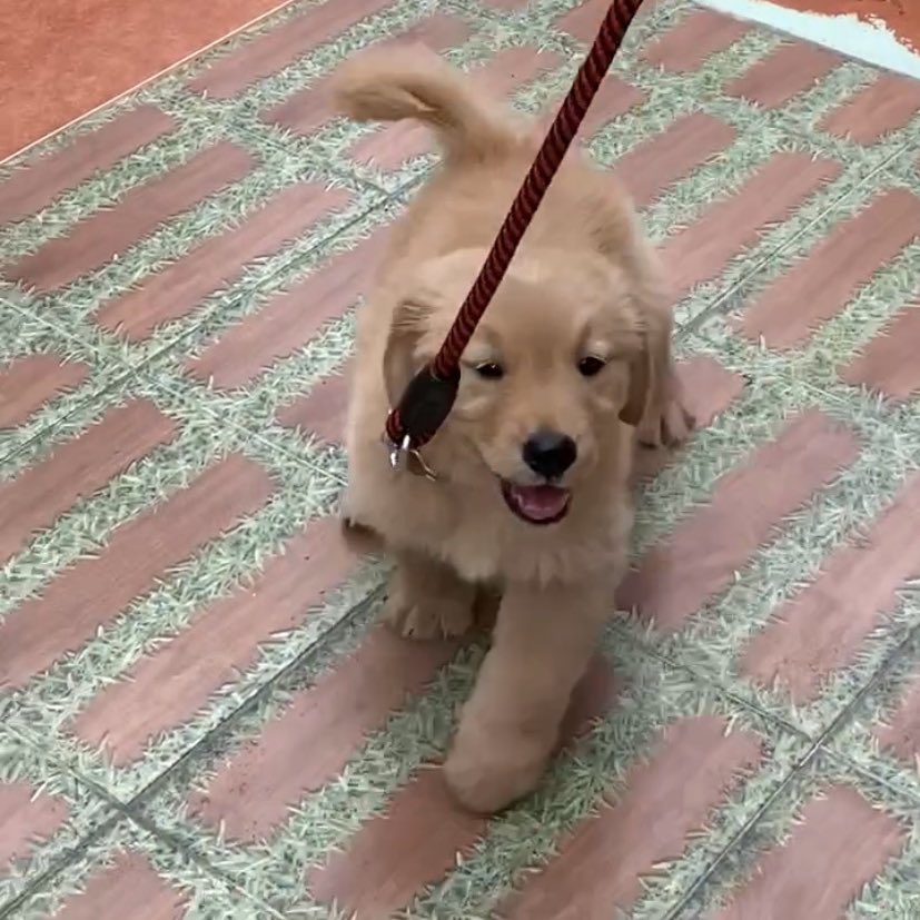 ใครเอ่ยหน้าดื้อออออออ