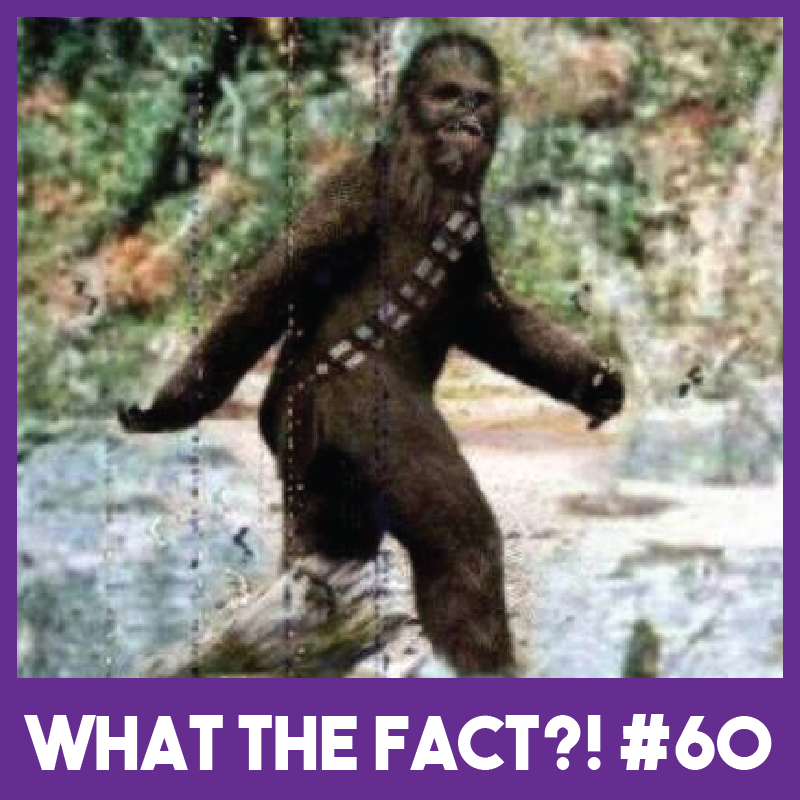While filming #StarWars Return of the Jedi, Peter Mayhew was told not to wander off in his #Chewbacca costume.
As they were filming in the #California redwoods, and crew were afraid that he might get shot at by #Bigfoot hunters.
#Trivia https://t.co/xfFKq2ds7N