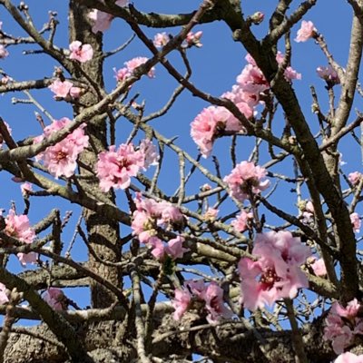 FrHaribi's tweet image. #NewProfilePic