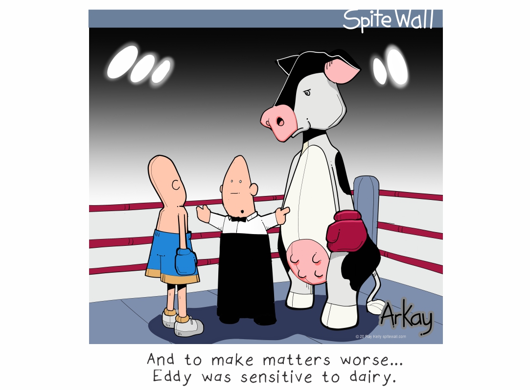 spitewall's tweet photo. No Tolerance... #lactoseintolerance #dairyfree #boxingcow #boxing #milkcow #roundone #ringsideseats #milk #icecream #tko #uppercut #lactose https://t.co/RgAWRmuzvj