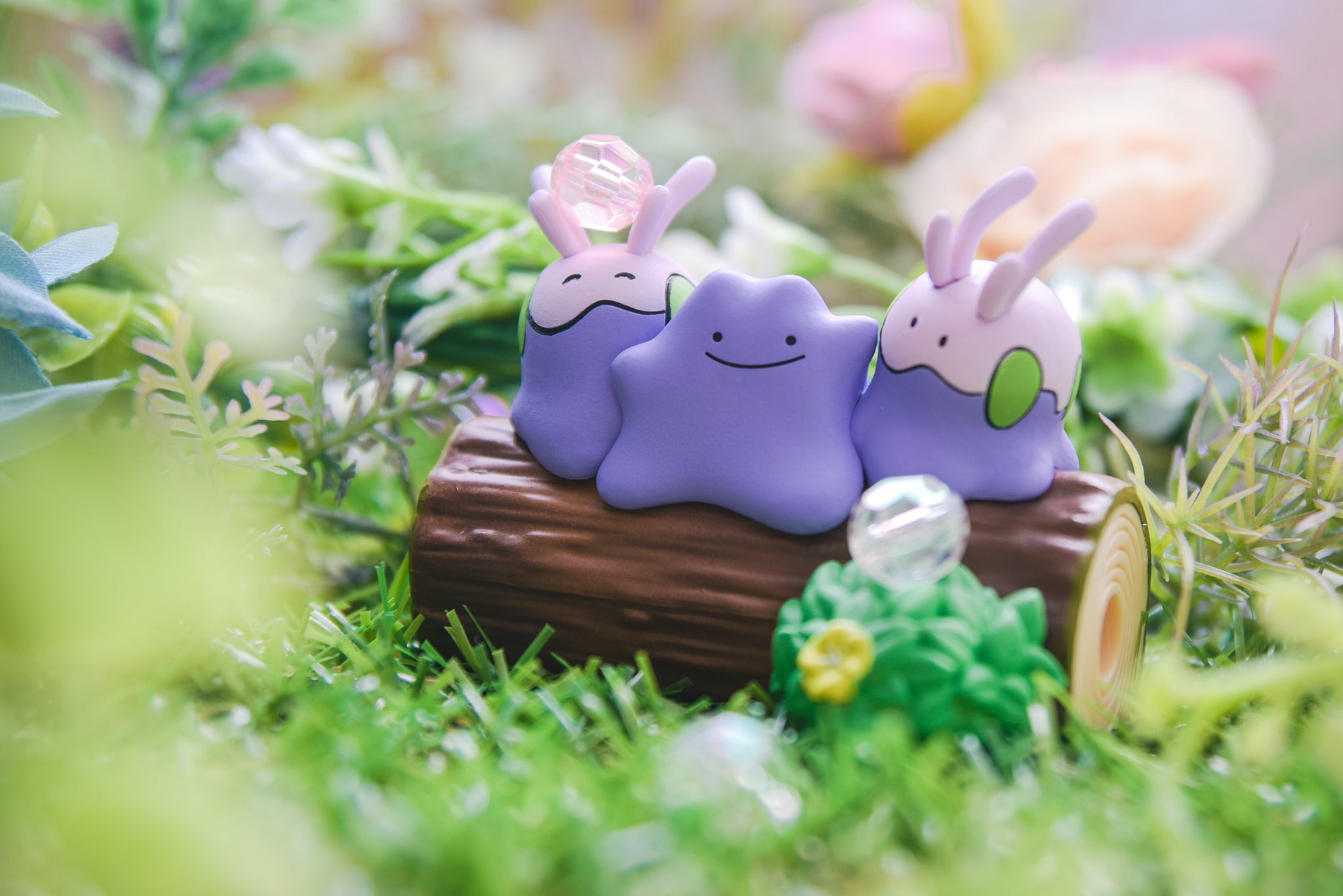 ポケモンなかよしの木 Twitter Search Twitter