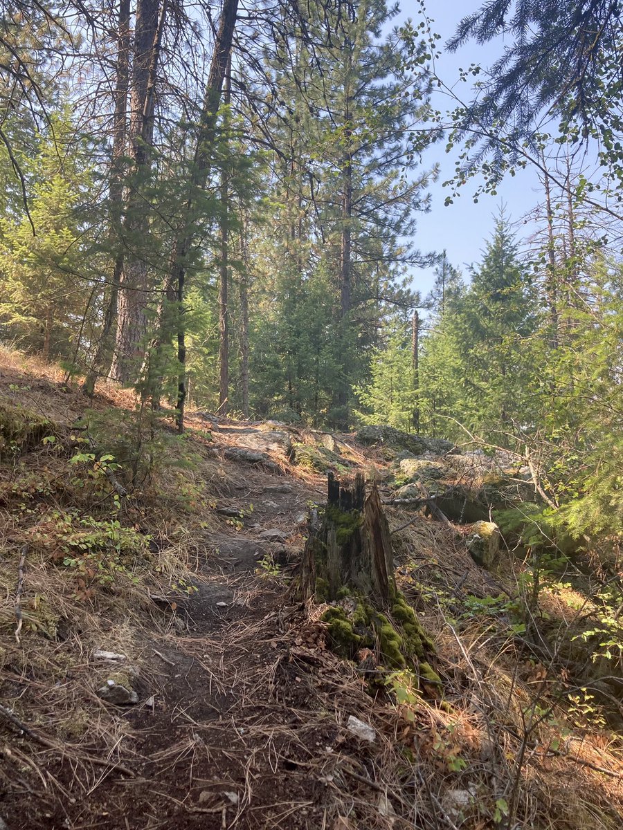 kulwap's tweet photo. Recovery walk at the Haynes Conservation Area. #spokane #pnw #trainingforultra https://t.co/ZHEWCz4P2x