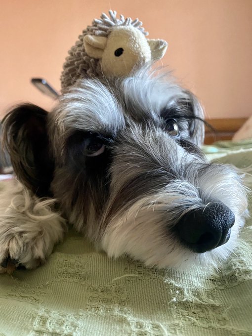 æããã«ããŠãã®ã§ãé ã«ããªããºããããä¹ã£ããŠã¿ãðŠðŠ
åããã©ã³ã¹æèŠâŒïž
ãã°ããé ã«ä¹ããŠãŸãããç¬