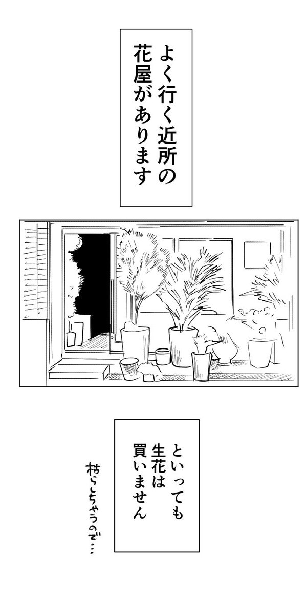 気になるお花屋さん 