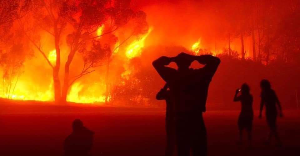 Islametinfo's tweet photo. #Algérie Les incendies ravagent en ce moment la #Kabylie. Les premières victimes sont à déplorer...

Qu'Allah les aide et les sauve. https://t.co/8wh9oeIrmE