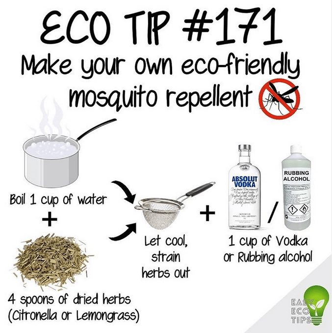 #AliveExpo #EcoTips #GreenLiving