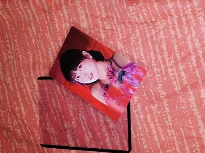 leafarqt's tweet photo. ewo momo mono pc came home!!🍑💕

#leafarqtmail https://t.co/zMP4mz32CH