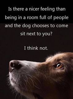 Cathy's Promos tweet media