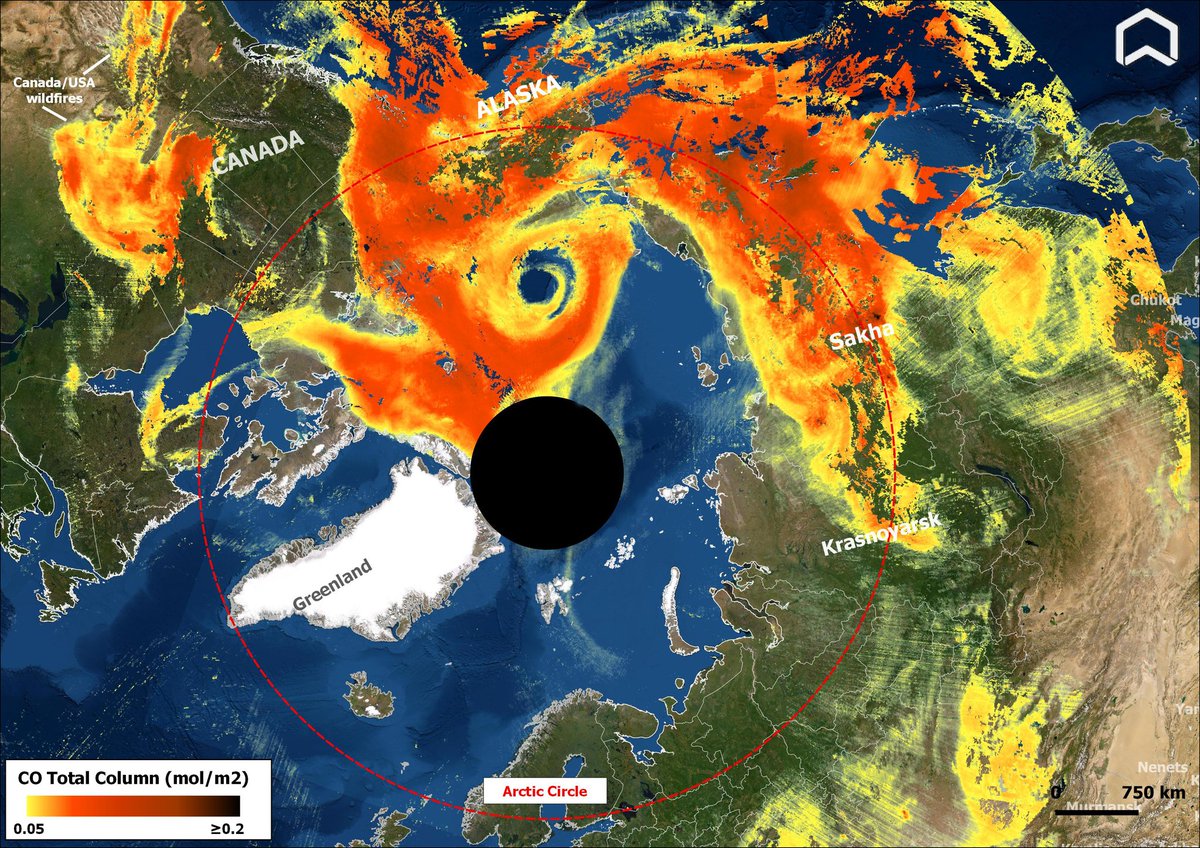 🔴 #wildfires2021Russia update! The impressive CO Total Column map by #Copernicus #Sentinel5p of Aug. 16th, shows smoke reaching #Arctic, #Alaska, N. #Canada, as forecasted by CAMS. Also visible plumes from #Canadawildfires and #californiawildfires. #AirQuality #ClimateEmergency