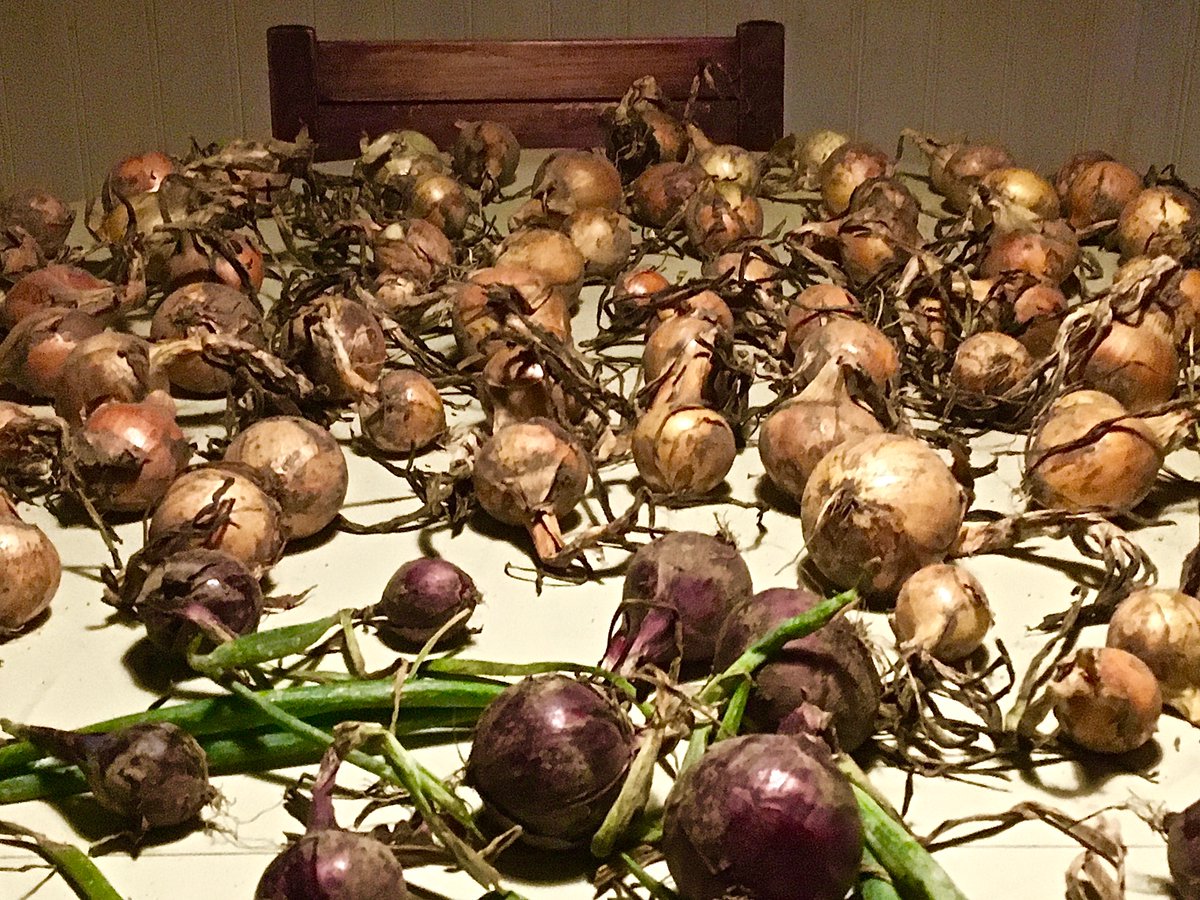 geektweetering's tweet image. See this Instagram photo by @spencerthanson instagram.com/p/CSm4e8ZMKIP/…