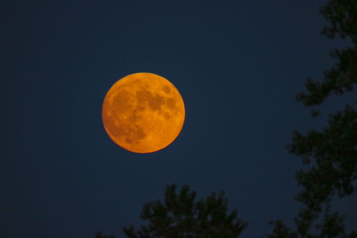Почему сегодня луна оранжевая. Лунное затмение. Оранжевая Луна. Огромная оранжевая Луна. Светло оранжевая Луна.