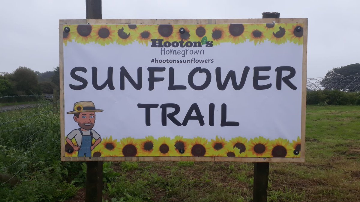 Our #sunflower trail sign is up so come along and enjoy a great walk in some fantastically flowery fields!! 🌻🌻🌻

@VisitAnglesey @visitbeaumaris @Discov_anglesey @WeAreAnglesey