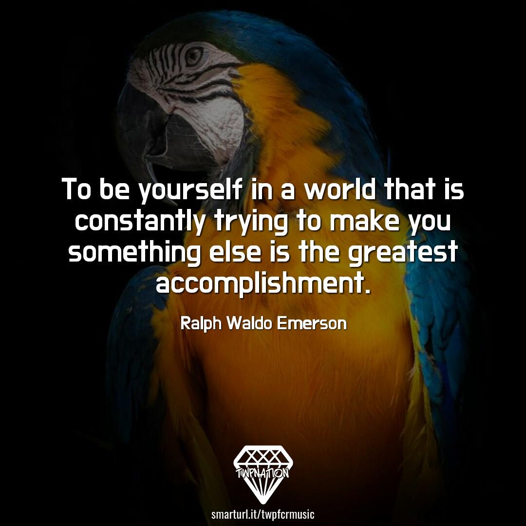 #TwpNation (@twizmwhytepiece) on Twitter photo Always be you
it's your best quality
<a href="/wiergeezy/">Paul Edward Wiersgalla</a> <a href="/vertwvu/">Vert</a> <a href="/RecklessVelvet/">Reckless Velvet</a> <a href="/EileenShapiro3/">eileen shapiro</a> @DrJimmyStar <a href="/fcr247/">Fcr247</a> @charliemizza <a href="/JohnLukeNYC/">John Luke</a> @AntonCountrySup <a href="/BreconIReviews/">Brecon Indie Reviews M.Wood</a> <a href="/Dianne__LadyD/">Lady D</a> <a href="/ChrisVanVliet/">Chris Van Vliet</a> <a href="/RoverDov123/">Veronica (PR Manager) For #CreaturesOfClay</a> <a href="/AJTHEMACK1/">AJ THE MACK #BeAnUplifter 🤙🏼😏🎙🐽</a> <a href="/NewAcid/">Acido</a> <a href="/TracyLeeHarrin/">Tracy Lee</a> <a href="/HellImJustMeWo1/">Hell I'm Just Me World</a>
#TwpNation Always be you
it's your best quality
<a href="/wiergeezy/">Paul Edward Wiersgalla</a> <a href="/vertwvu/">Vert</a> <a href="/RecklessVelvet/">Reckless Velvet</a> <a href="/EileenShapiro3/">eileen shapiro</a> @DrJimmyStar <a href="/fcr247/">Fcr247</a> @charliemizza <a href="/JohnLukeNYC/">John Luke</a> @AntonCountrySup <a href="/BreconIReviews/">Brecon Indie Reviews M.Wood</a> <a href="/Dianne__LadyD/">Lady D</a> <a href="/ChrisVanVliet/">Chris Van Vliet</a> <a href="/RoverDov123/">Veronica (PR Manager) For #CreaturesOfClay</a> <a href="/AJTHEMACK1/">AJ THE MACK #BeAnUplifter 🤙🏼😏🎙🐽</a> <a href="/NewAcid/">Acido</a> <a href="/TracyLeeHarrin/">Tracy Lee</a> <a href="/HellImJustMeWo1/">Hell I'm Just Me World</a>
#TwpNation