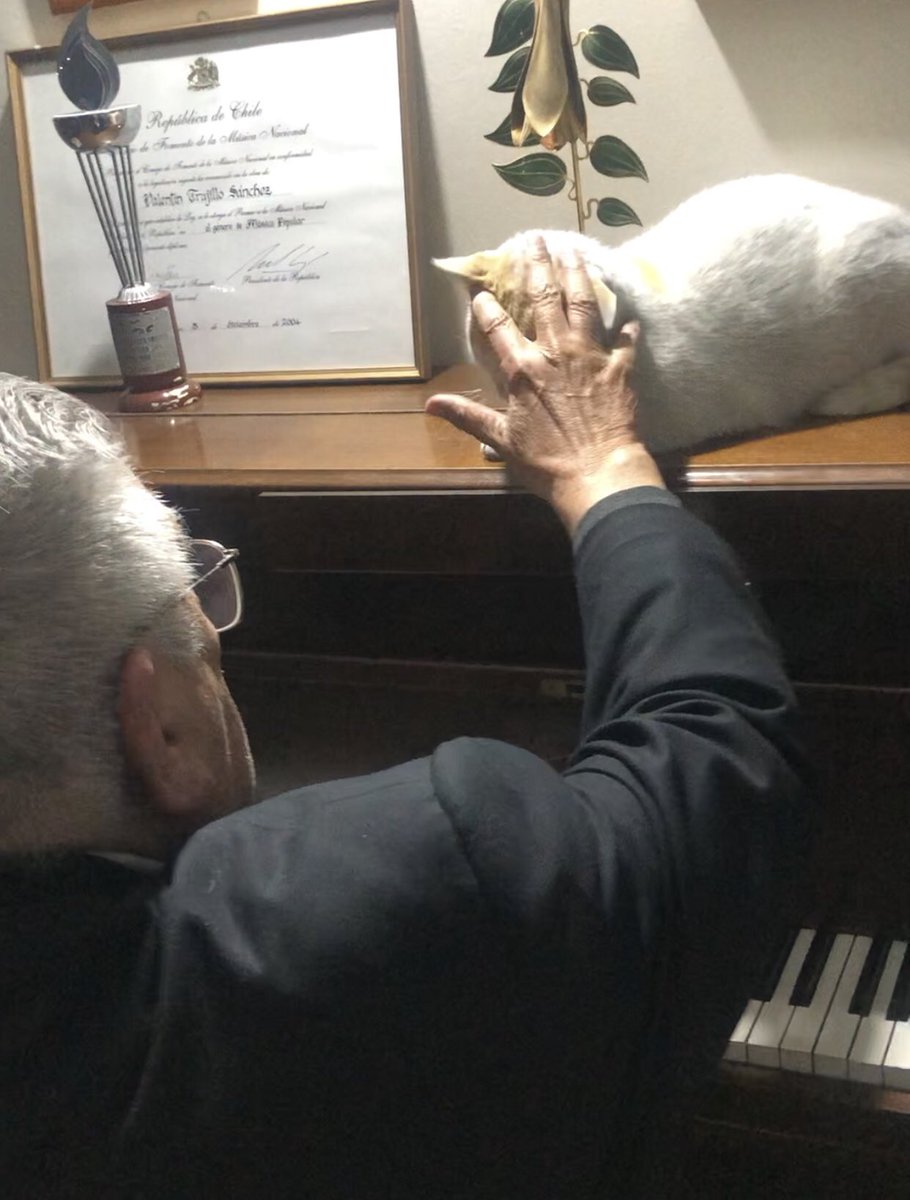 LaTrujo's tweet photo. La “Niña”, la única que se sube al piano!😍Escucha a su amado y sube de un salto a disfrutar. Y bueno, él puede seguir tocando con una mano, mientras le hace cariño con la otra 😅❤️❤️❤️❤️ https://t.co/9oQYxH5siK