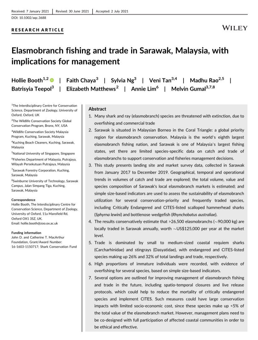 📢New #SharkScience 🦈from Sarawak #Malaysia 🇲🇾 🎣 We summarise 3yrs of landings & market data - collected by @TheWCS @WildlifeConser4; & describe volumes & values & trends. 📊 Mgmt relevant data & recommendations for @IUCNShark & @CITES implementation. 👉🏻doi.org/10.1002/aqc.36…