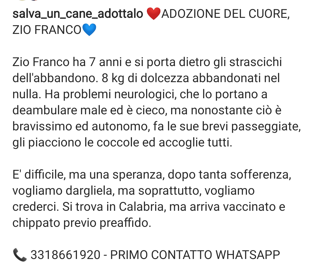 Qua la Zampa tweet media