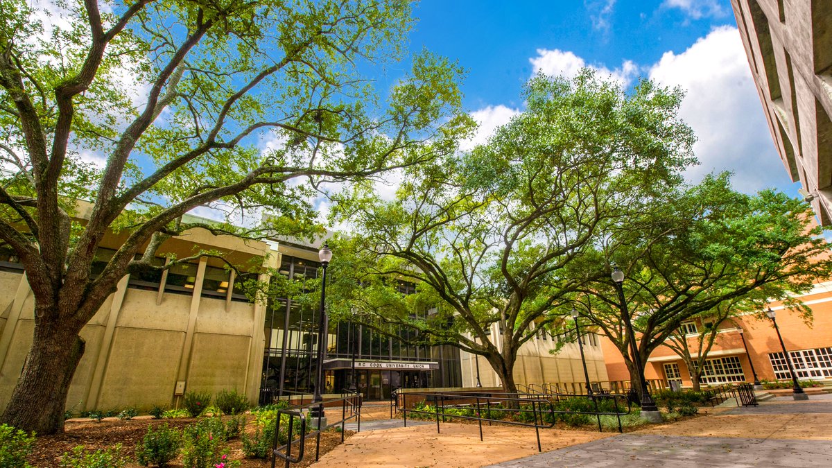 We've collected key Fall 2021 resources and information for students in one convenient location: usm.edu/take-flight