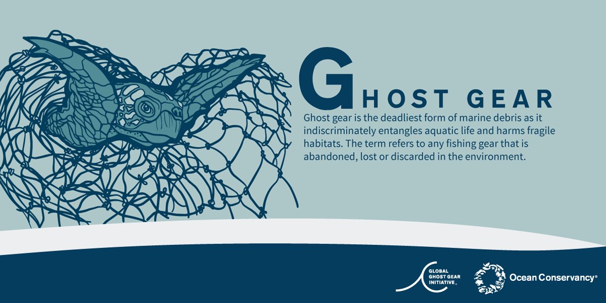 ·
It's a fact: #ghostgear is the *deadliest* form of marine debris. It entangles marine life and harms fragile habitats. 

The term "ghost gear" refers to any fishing gear that's abandoned, lost or discarded into the environment.

Learn more: bit.ly/3g9Sfp7 MT <a href="/OurOcean/">Ocean Conservancy</a>