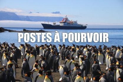 [#emploi] #BTP, #cuisine, #RH, 14 offres d’emploi pour travailler sur les districts de #Crozet, #Kerguelen, Saint-Paul et #Amsterdam mais aussi à Saint-Pierre sont à retrouver dans l’espace #Recrutement des TAAF : taaf.fr/recrutement/ @lesoutremer #LaRéunion