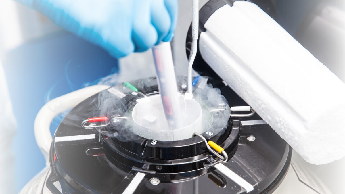 Some fertility patients face a situation when they need to transport their frozen embryos/sperm/eggs between fertility clinics, countries, and #ivf laboratories worldwide. All you need to know about #cryoshipping is HERE:
👉 eggdonationfriends.com/cryo-shipping-…
👉 fertially.com/qcat/cryoshipp…