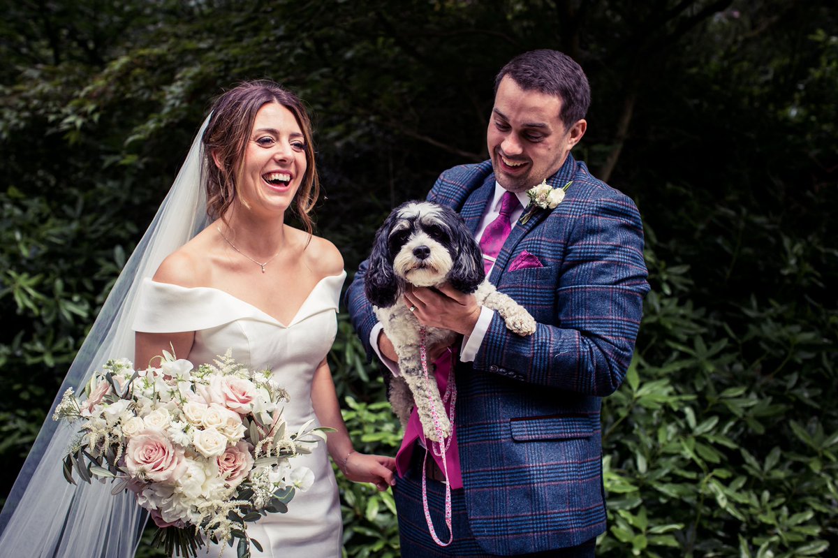 In my other work, there’s often a dog involved! 😍 #dogsatweddings #theyorkshiredogphotographer #dogphotography