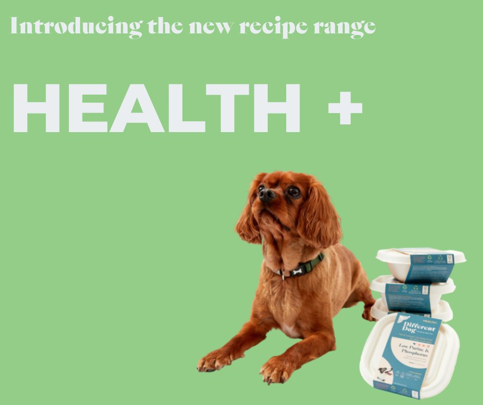 _differentdog's tweet image. Introducing...

Health+ 

The UK’s first freshly cooked health focused range, designed and formulated for dogs that need extra support through their diet.

#dogfood #healthydogfood #doghealth