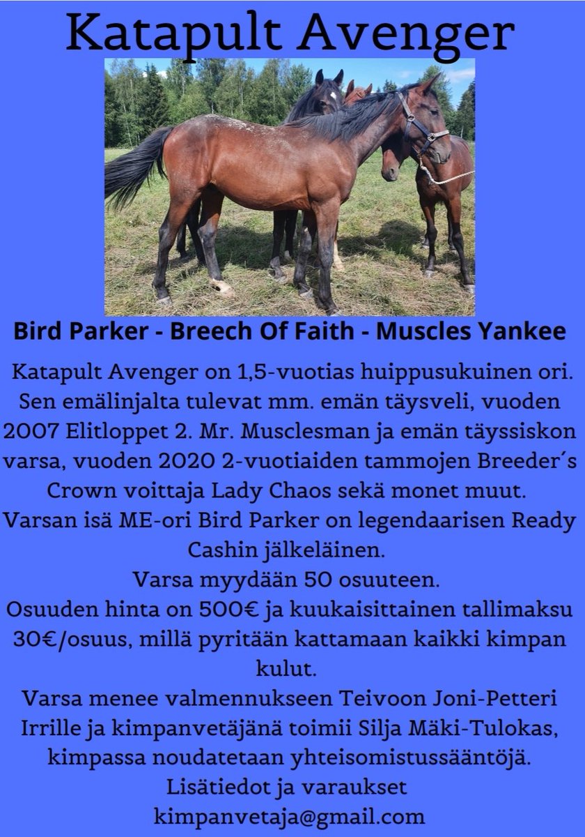 Tervetuloa mukaa! Vastaan mielelläni hevoseen ja kimppaan liittyviin kysymyksiin😊