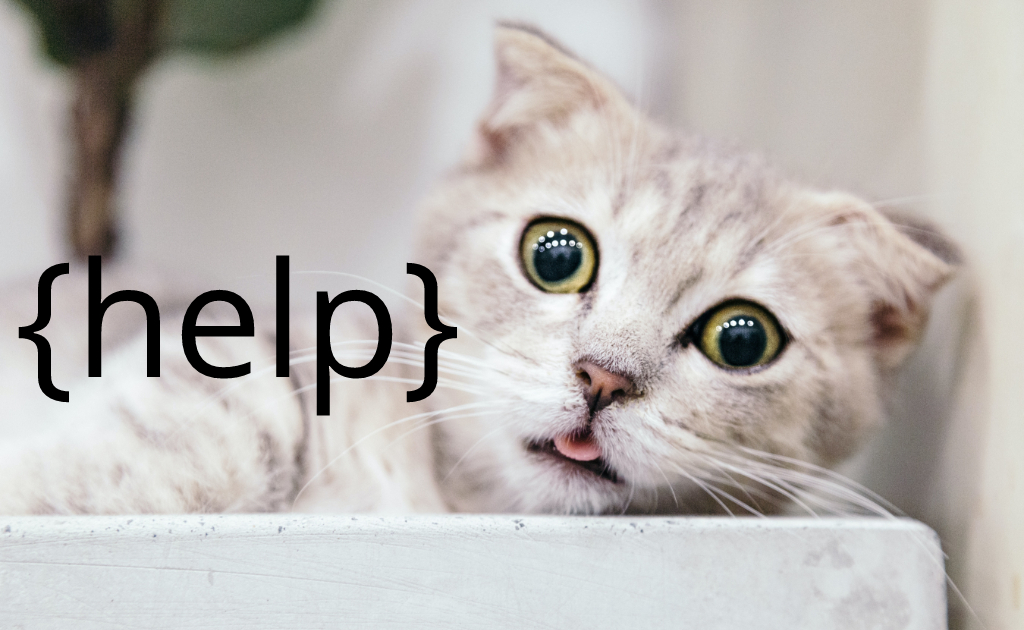 cmsms's tweet image. Want support for your CMS Made Simple questions:
First places to try are the CMSMS documentation and forum. 
You can also join us on Slack, a chat room containing members of the Dev Team and Community. 
Request access here: cmsmadesimple.org/support/docume…