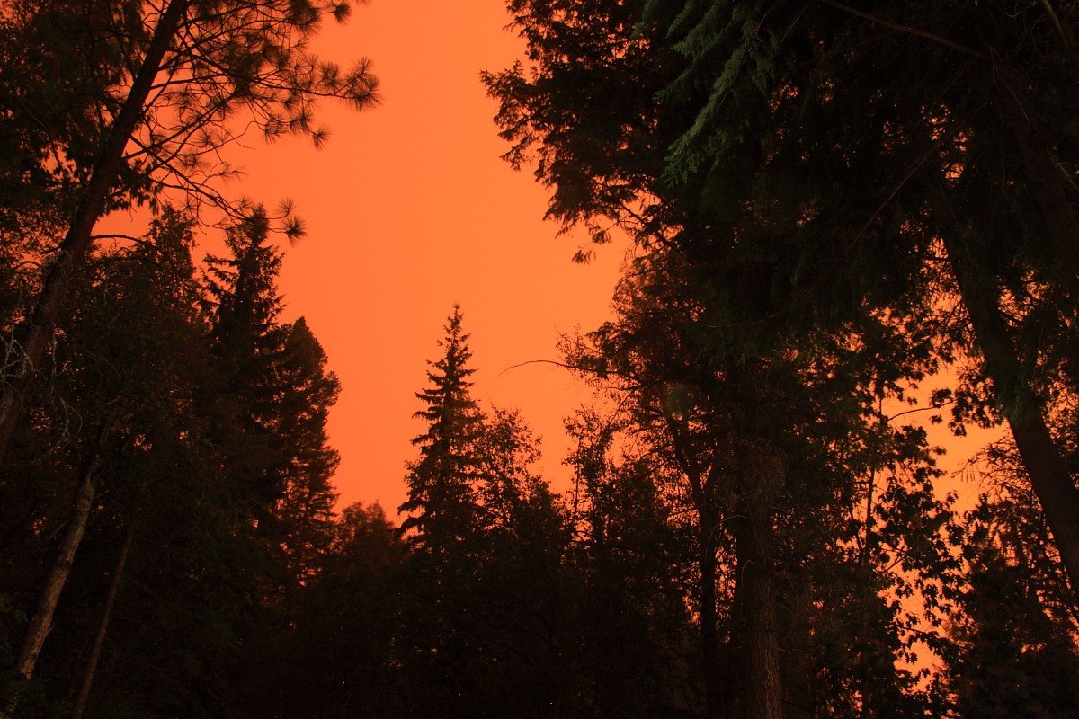 PriscillaJudd's tweet photo. if you're wondering what it's like to live in a forest with a wildfire nearby - these are N.E.S.W. views outside our home last night. #BCburning https://t.co/8lx2UXzNjU