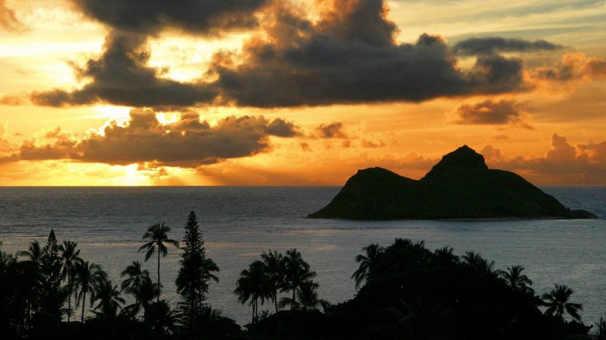 WaiLanaYoga's tweet photo. The best view comes after the hardest climb.
#wisdom https://t.co/X36xCmhaT8