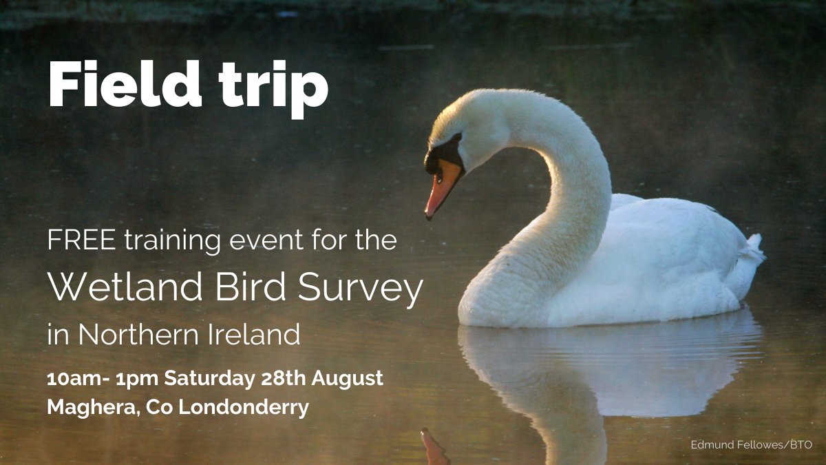 Based in Northern Ireland &amp; interested in getting involved in Wetland Bird Surveying (<a href="/WeBS_UK/">Wetland Bird Survey</a>)? New starters can join us on a free field trip in Co. Londonderry this month. Follow the link for more information &amp; registration: bit.ly/WeBSFieldTripNI
<a href="/_BTO/">BTO</a>