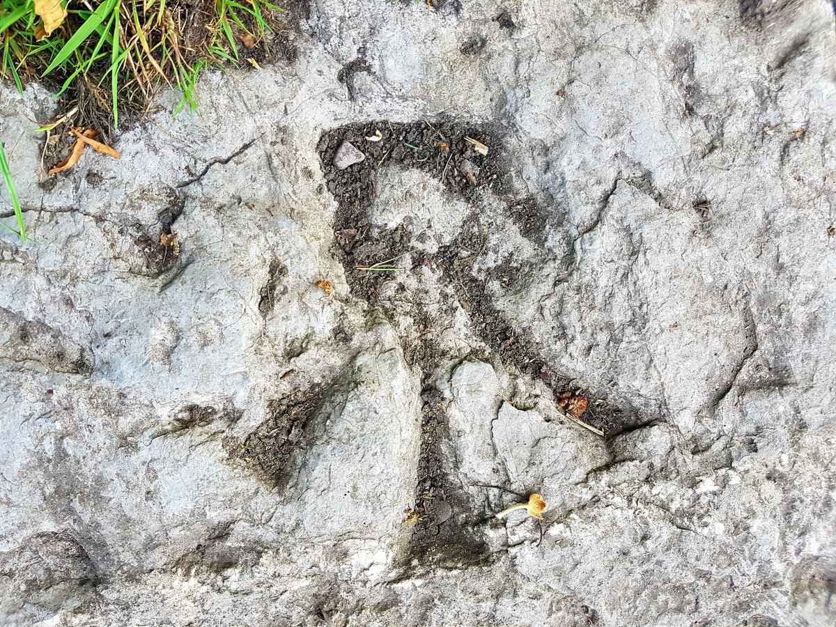 BenchmarksCork's tweet image. Rare enough in #Corkcity here's a horizontal pivot-style #osbenchmark along the #corkmarina, on the old Navigation Wall close to @PaircUiCha0imh #UpTheRebels #purecork
