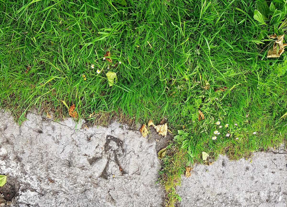 BenchmarksCork's tweet image. Rare enough in #Corkcity here's a horizontal pivot-style #osbenchmark along the #corkmarina, on the old Navigation Wall close to @PaircUiCha0imh #UpTheRebels #purecork