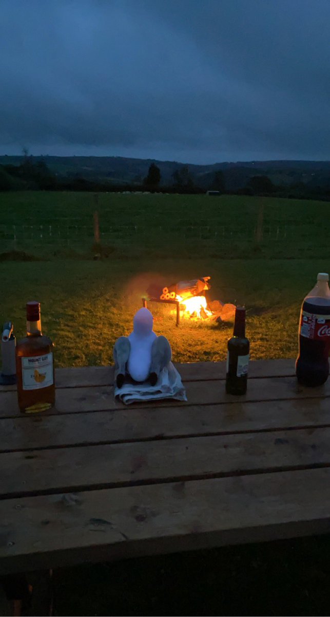 Jordan Hardy tweet media