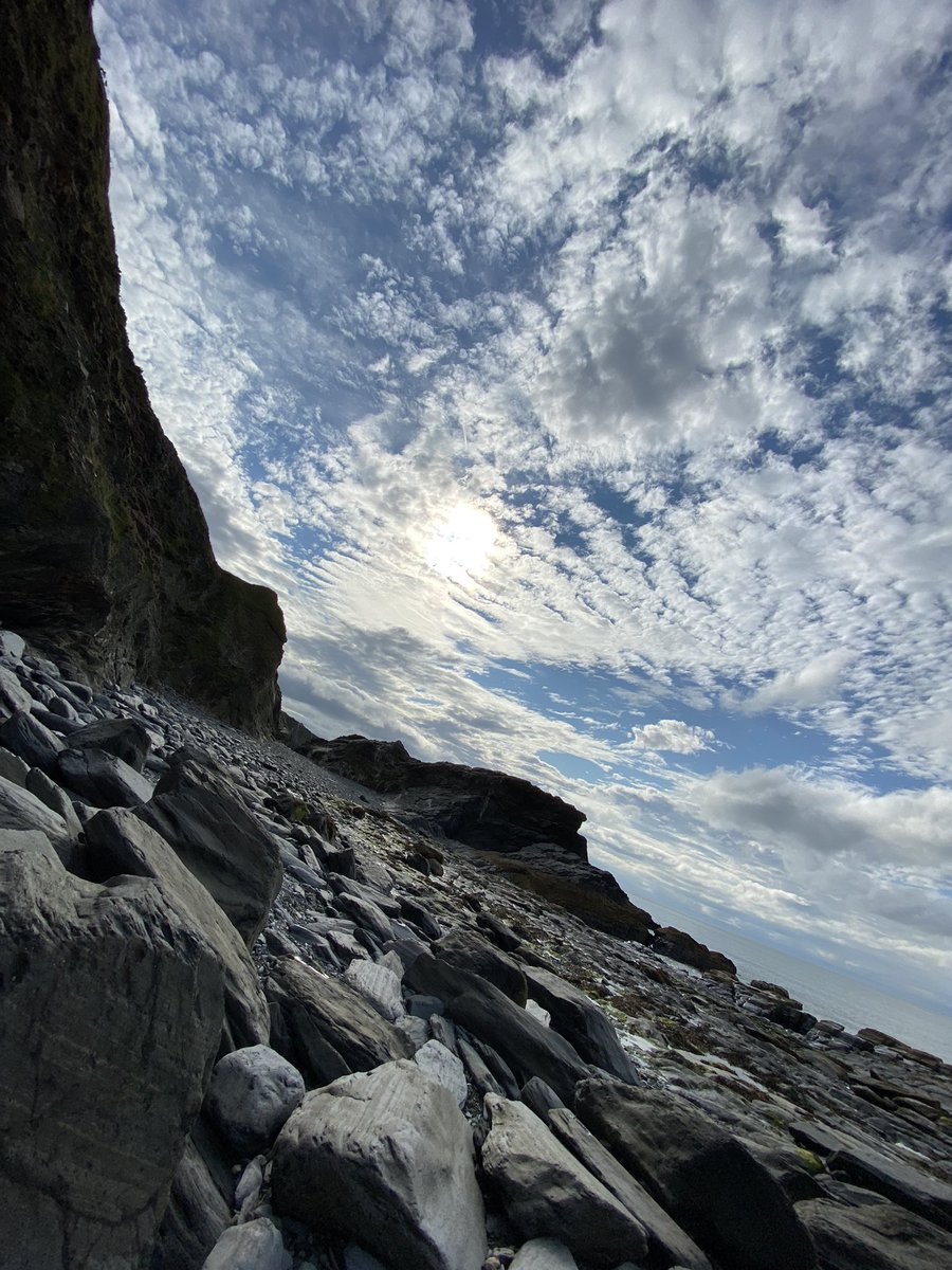 Jordan Hardy tweet media