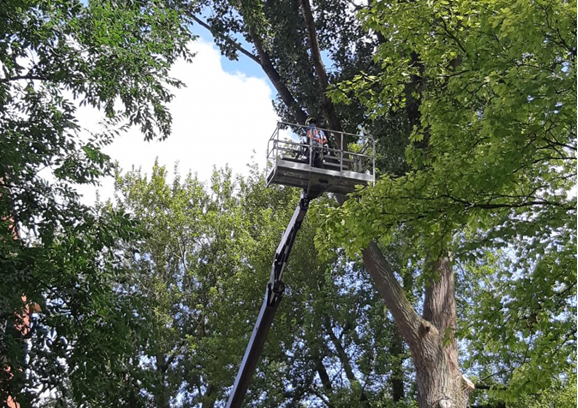 Melding hulpdiensten Smidsdijk Cothen