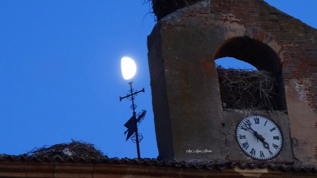 #LunaCreciente 🌓
Villoruela (Salamanca)
<a href="/TiempoCyLTV/">El Tiempo en CyL</a> <a href="/sacrahh/">Sacra Hernández</a> <a href="/meteosegovia/">Adrián Escobar</a> <a href="/miguel_ua/">#JOSEMI#</a> <a href="/Mrtxu1/">Mrtxu</a> @mongeleon <a href="/1AlbertoHerrero/">Alberto HERRERO</a> <a href="/OrtegahOrtega/">Cristina Ortega</a> <a href="/ElenaPedrero_/">ELE*</a> <a href="/aquilatierratve/">Aquí la Tierra</a> @CyLesVida <a href="/Keluca16/">シ︎𝑭𝒖𝒆𝒏𝒔𝒊シ︎ 🍀</a> <a href="/Adricor_fer/">Adrián Cordero</a> <a href="/JoannaIvars/">JoannaIvars</a> <a href="/RosaliaFdz/">Rosalía Fernández</a> <a href="/sibilafc/">Silvia Ferrer</a> <a href="/fmg_nokia/">Ƒ𝓔𝓇ⓝ𝐀𝕟𝔡ⓞ ΜΔ𝐫ⓣí𝓷 🥾⛰️🌍✍️</a> <a href="/ARMCHARRO/">ARM</a> <a href="/Keluca16/">シ︎𝑭𝒖𝒆𝒏𝒔𝒊シ︎ 🍀</a> <a href="/llamp_/">#llamp7</a>