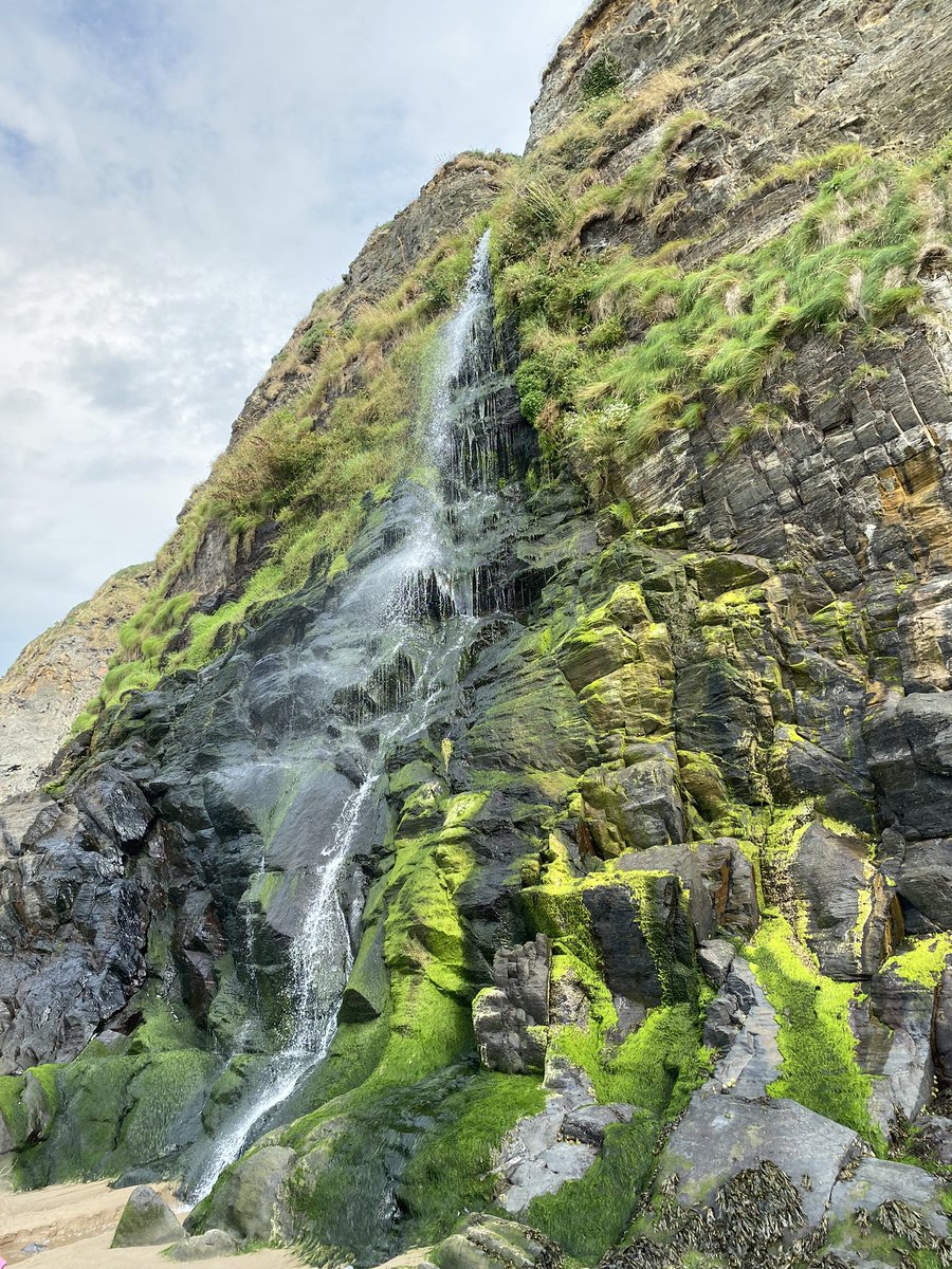 Jordan Hardy tweet media