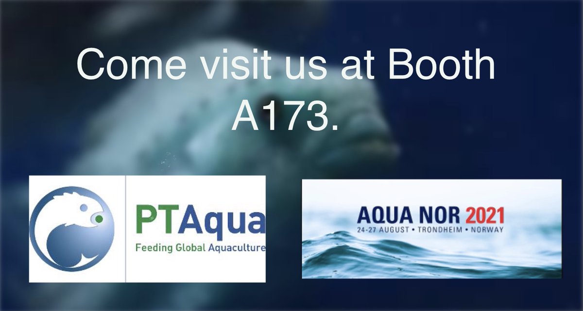 PT Aqua (@pt_aqua) on Twitter photo 