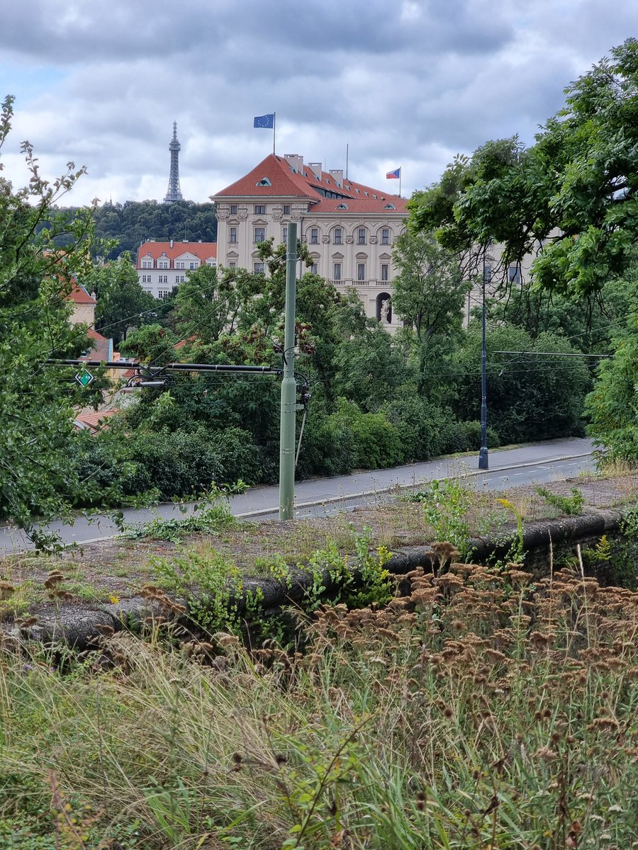 Libor Sečka 🇨🇿 tweet media