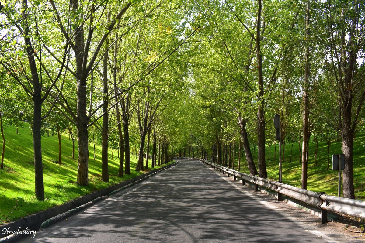 bvafadary's tweet photo. پیاده روی امروز من!!...#خیابان #آرام
#Tehranview00 - #Tehranview96
@NatGeoPhotos @ThePhotoHour @Krystyn31197823 @Enjoy_Nature_ @PicPublic #photography #photooftheday @WonderfulSpace4 @cudrinscaya @marzena_edyta @LuaHilda #nature @Slawomi06127804 @asiehnamdar https://t.co/RF8Su4ceOU