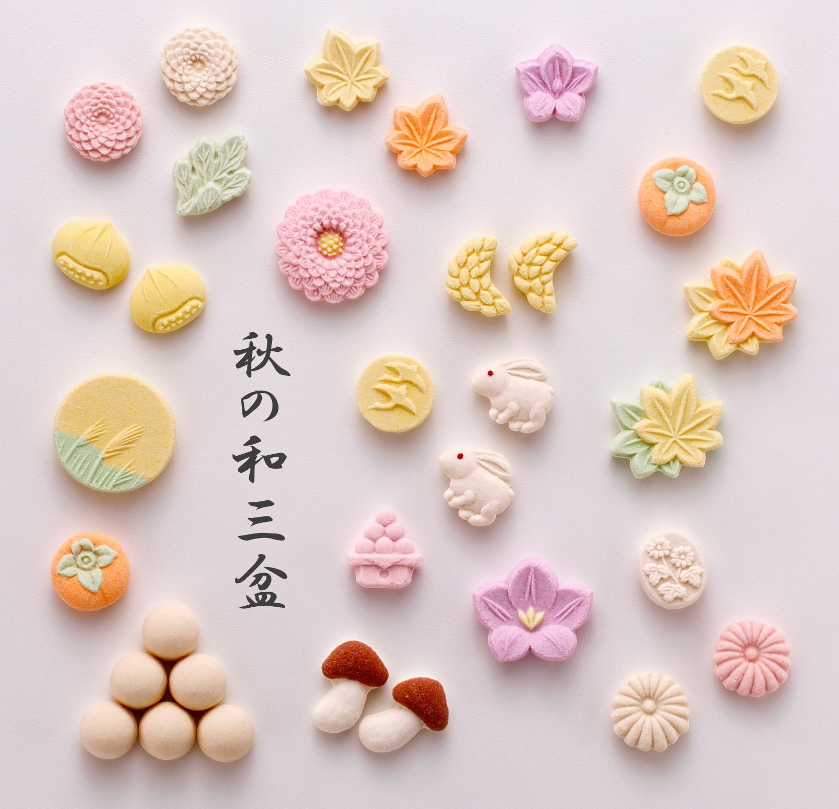 三谷製糖羽根さぬき本舗 お盆が終わり 三谷製糖の和三盆お干菓子も秋の装いに模様替です お月見 紅葉 菊の花 繊細で可愛らしい秋をお楽しみ下さい T Co Ti4w22ii6s Twitter