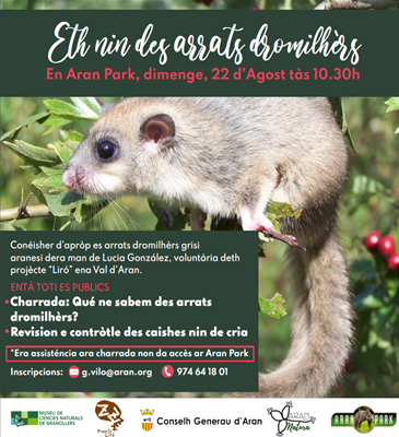 ProjecteLiro's tweet photo. Ja tenim a tocar el proper #DiadelsLirons 🐭🐭
📅 22 d'agost
📌 Aran Park #Bossost #ValAran
Info i inscripcions 👉https://t.co/auV344tgIx
@mcngranollers #families #activitats #sortirambnens #natura https://t.co/B9iByTboT9